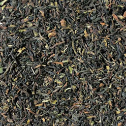 Té negro Darjeeling First flush